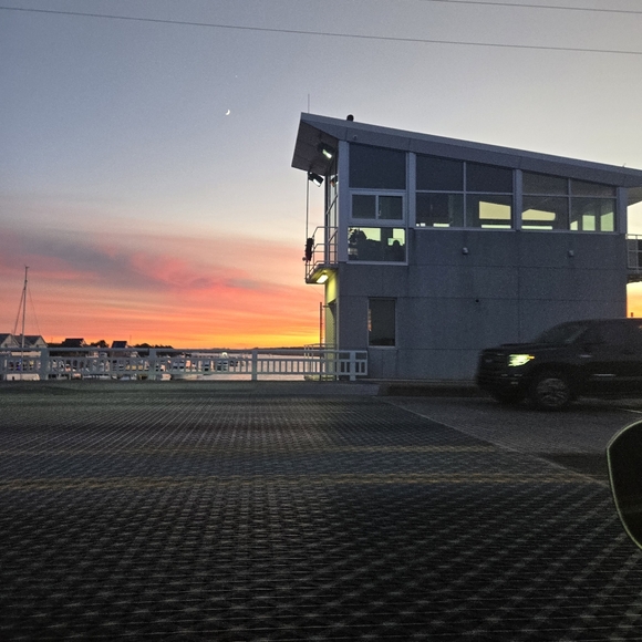 Meet your Posher, Misty - Picture 4 of 4